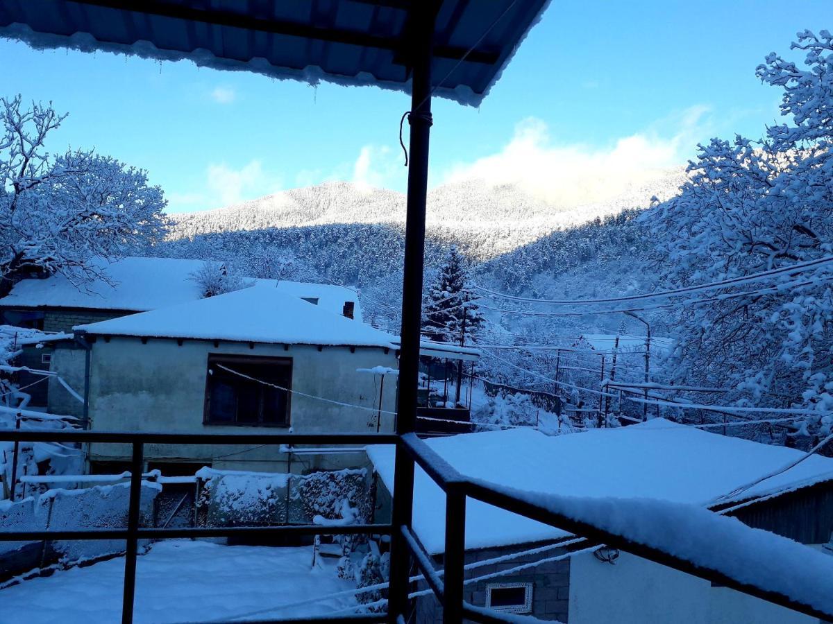 Guest House Metreveli Borjomi Exterior photo