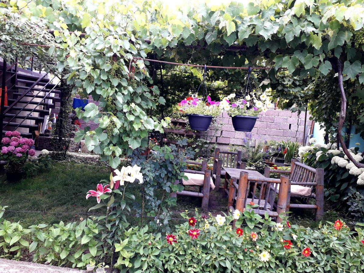 Guest House Metreveli Borjomi Exterior photo