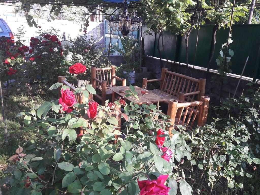 Guest House Metreveli Borjomi Exterior photo