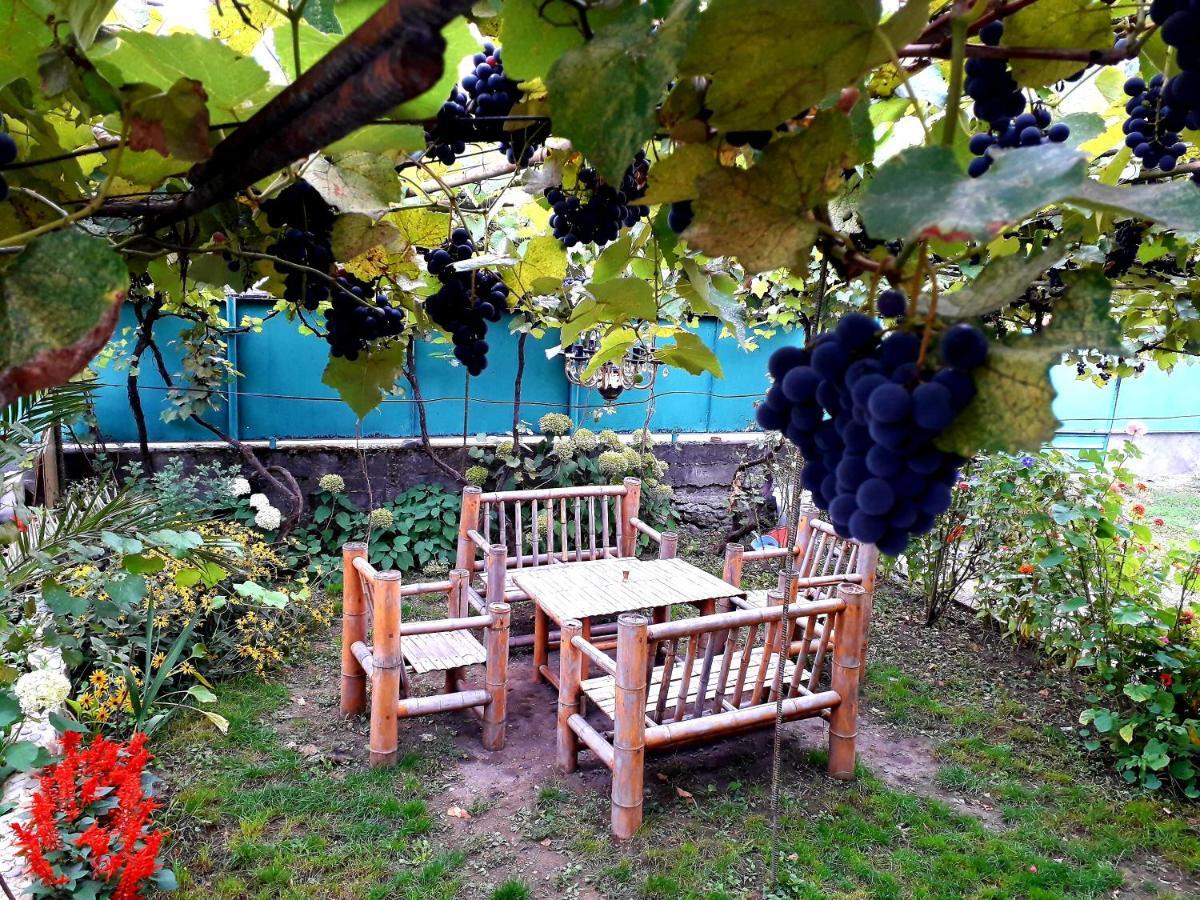 Guest House Metreveli Borjomi Exterior photo